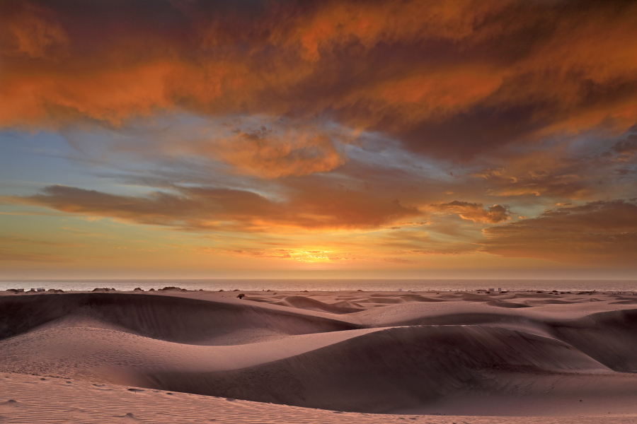 Sonnenaufgang über den Dünen von Maspalomas/Playa del Inglés, Gran Canaria