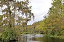 Übersichtsbild der Kategorie Naturparadies Florida 2024