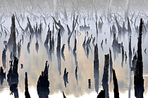Übersichtsbild der Kategorie wasserlandschaften