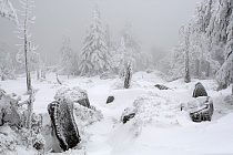 Übersichtsbild der Kategorie winterlandschaften