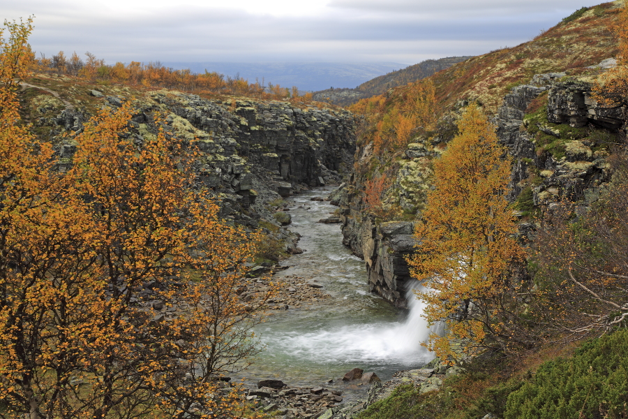 Landschaft im Rondane Nationalpark, Norwegen