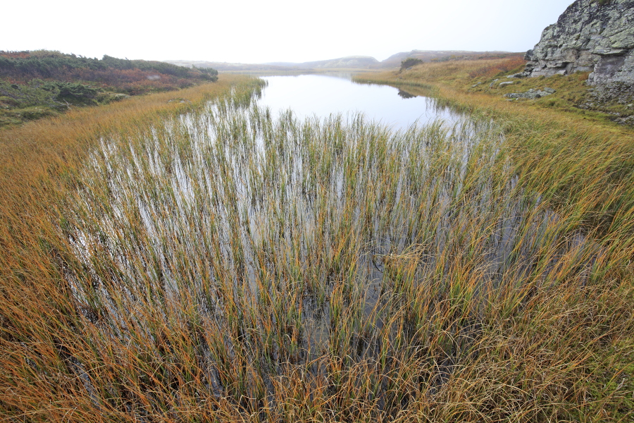 Landschaft im Rondane Nationalpark, Norwegen