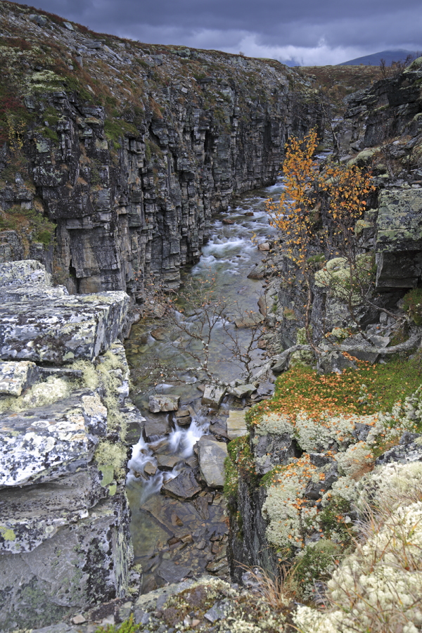 Landschaft im Rondane Nationalpark, Norwegen