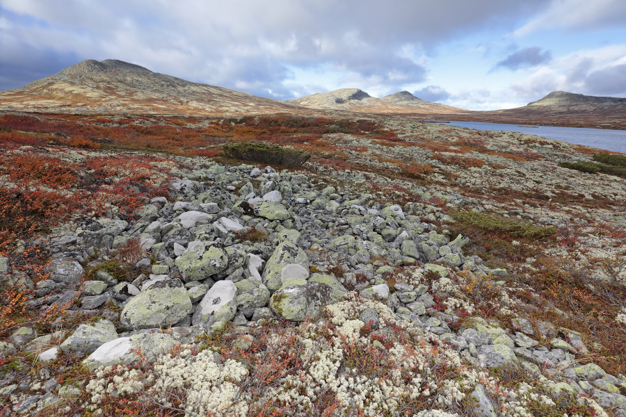 Landschaft im Rondane Nationalpark, Norwegen