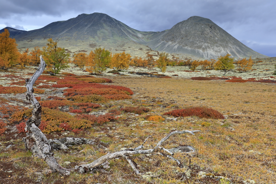 Landschaft im Rondane Nationalpark, Norwegen