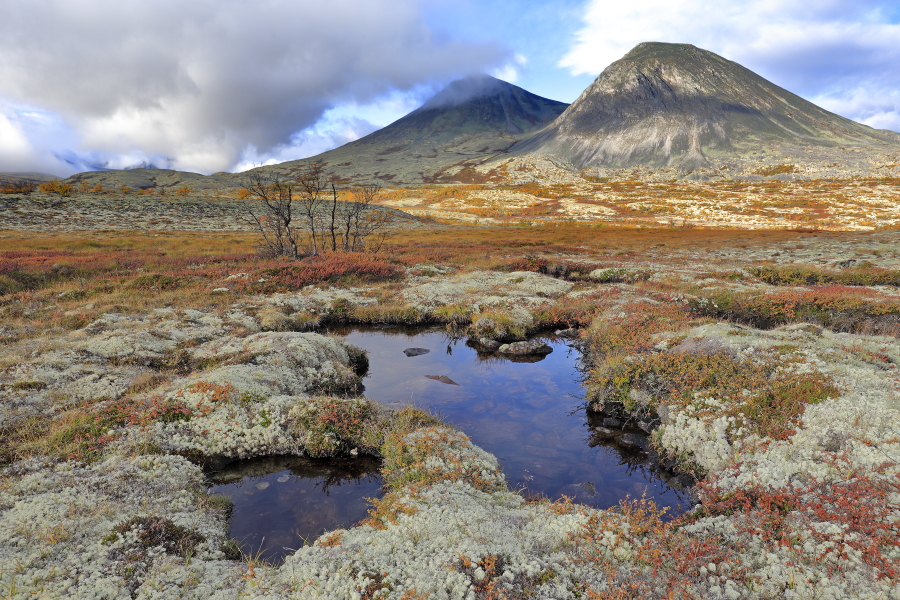 Landschaft im Rondane Nationalpark, Norwegen