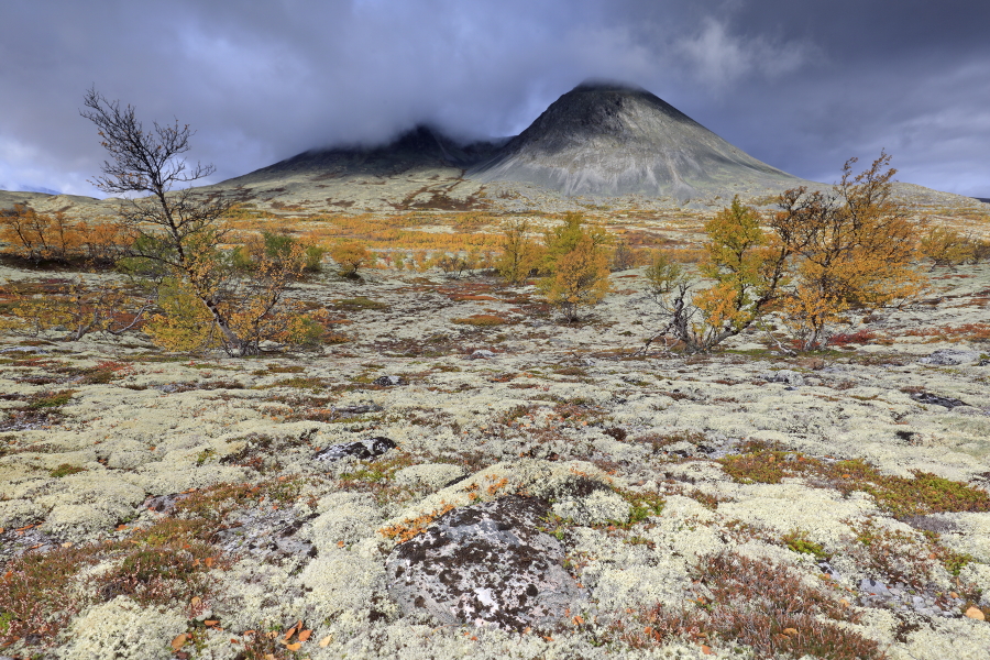 Landschaft im Rondane Nationalpark, Norwegen