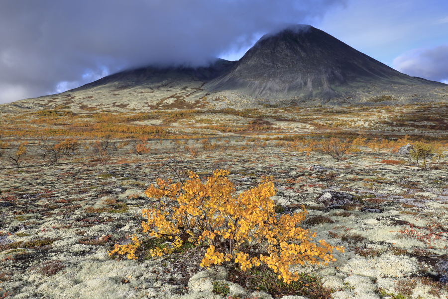 Landschaft im Rondane Nationalpark, Norwegen