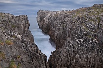  Steilküste bei Pría, Biskaya, Nordspanien