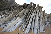 Flysch-Strukturen am Strand von Zumaia