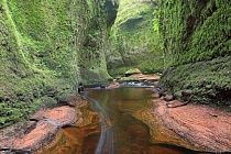 Die kurze Schlucht 