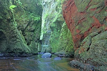 Die kurze Schlucht 