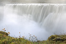 Der Dettifoss, im Norden Islands gelegen, ist der energiereichste Wasserfall Europas.