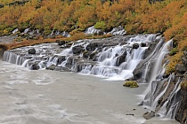 Die ergiebigen Regenfälle sickern hier durch porösen vulkanischen Boden, um in der Tiefe auf wasserundurchlässige Schichten zu stoßen. Am Berghang tritt das Wasser seitlich in zahlreichen kleinen Wasserfällen aus und strömt in den Fluss Hvítá.