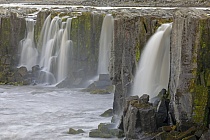 Der Selfoss im Norden Islands liegt nur wenige hundert Meter oberhalb des Dettifoss.