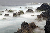 Lavafelsen bei Porto Moniz im Nordwesten Madeiras