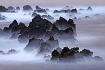 Lavafelsen bei Porto Moniz im Nordwesten Madeiras