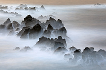 Lavafelsen bei Porto Moniz im Nordwesten Madeiras