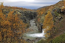 Landschaft im Rondane Nationalpark, Norwegen