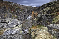 Landschaft im Rondane Nationalpark, Norwegen