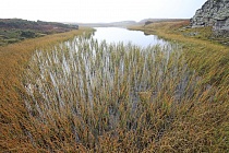 Landschaft im Rondane Nationalpark, Norwegen