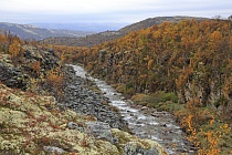 Landschaft im Rondane Nationalpark, Norwegen