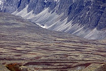 Landschaft im Rondane Nationalpark, Norwegen