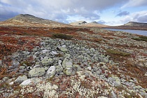 Landschaft im Rondane Nationalpark, Norwegen