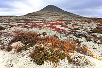 Landschaft im Rondane Nationalpark, Norwegen