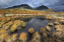 Landschaft im Rondane Nationalpark, Norwegen