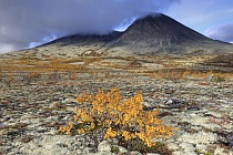 Landschaft im Rondane Nationalpark, Norwegen