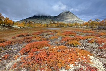 Doralseter im Rondane Nationalpark