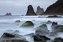 Felsen in der Brandung an der Playa de Benijo, Nordost-Teneriffa
