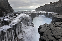 Basaltfelsen bei Puerto de la Cruz an der Nordküste von Teneriffa
