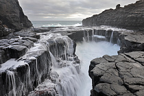 Basaltfelsen bei Puerto de la Cruz an der Nordküste von Teneriffa