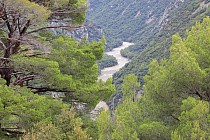 Blick in die Verdon-Schlucht
